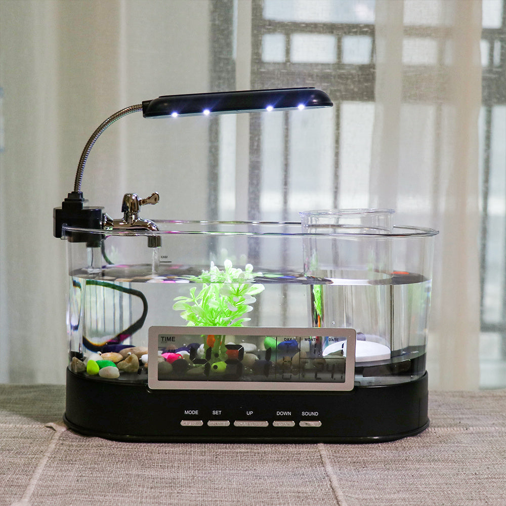 Transform Your Workspace with the Inner Loop Mini Desktop USB Fish Tank